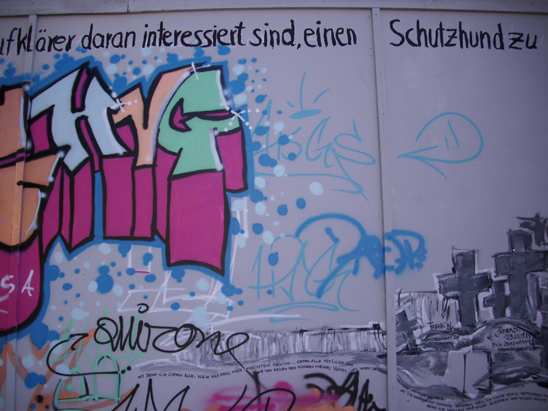 DSCI0386
