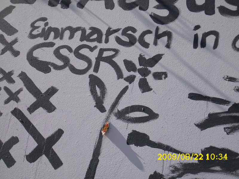 DSCI0507