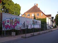 DSCI0355