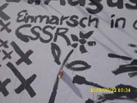 DSCI0507