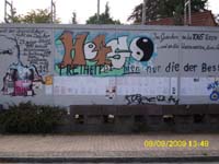 DSCI0202
