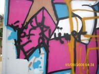 DSCI0383